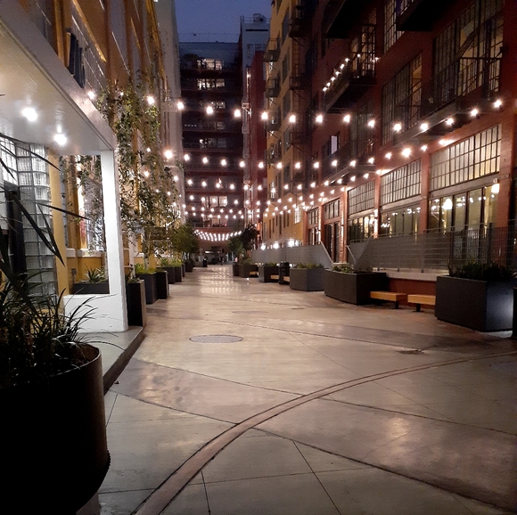 Meet your Posher, Isela - Picture 6 of 6